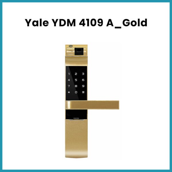 YDM 4109 A_Gold