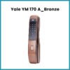 YMI70A_ Bronze
